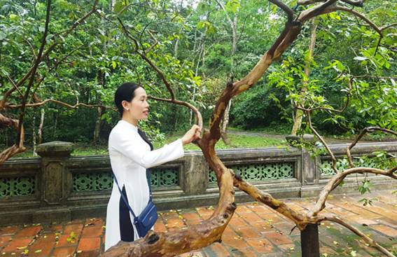 http://thoxuan.thanhhoa.gov.vn/file/download/635781456.html