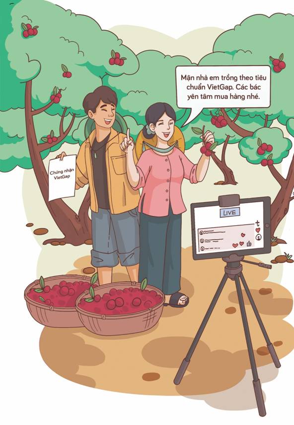 https://langso.dx.gov.vn/cam-nang/images/05_Ti%E1%BA%BFp%20th%E1%BB%8B%20qu%E1%BA%A3ng%20c%C3%A1o%20s%E1%BB%91_color.jpg