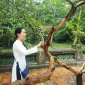 Những tích chuyện huyền bí ở khu di tích Quốc gia đặc biệt Lam kinh