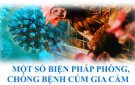 Hướng dẫn tăng cường biện pháp phòng, chống dịch bệnh Cúm gia cầm