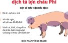 Hướng dẫn các biện pháp phòng, chống bệnh Dịch tả lợn châu Phi