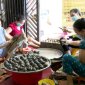 HUYỆN THỌ XUÂN XÂY DỰNG NTM NÂNG CAO, NTM KIỂU MẪU GẮN VỚI PHÁT TRIỂN LÀNG NGHỀ TRUYỀN THỐNG
